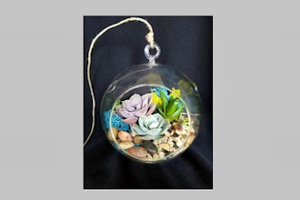 All Ages Plant Nite: Subtle Hanging Glass Globe